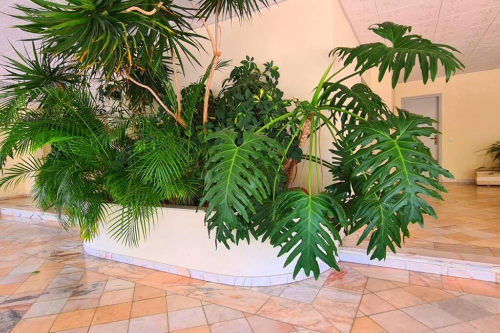 Comfort Zone Beach Apartment Quarteira Luaran gambar